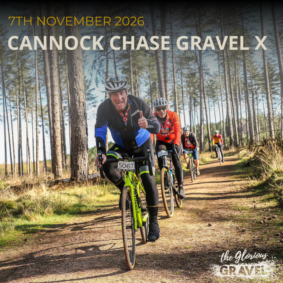 Cannock Chase Autumn X